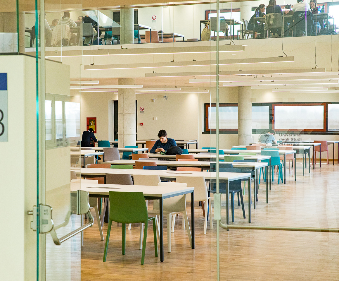 GALLERIA LARGA_0004_2P2A2084