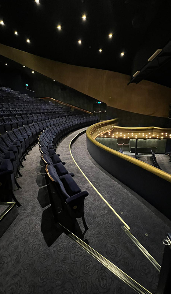 Pavimentazione in moquette sala cinematografica con gradini e poltroncine, corrimani e profili fotoluminescenti con parapetto.